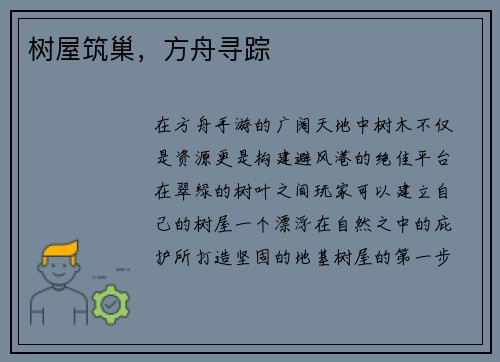 树屋筑巢，方舟寻踪